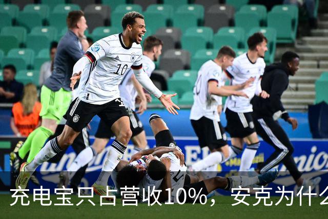 充电宝只占营收10%，安克为什么还要招这么多人？